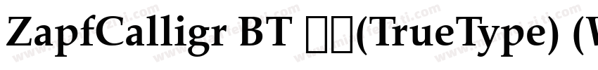 ZapfCalligr BT 常规(TrueType) (Wester字体转换